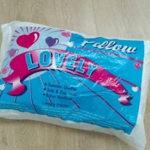 4555 LOVELY SPONGE PILLOW